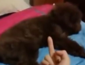一看就笑死人的图片,那些让人忍俊不禁的搞笑瞬间