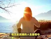 女人看淡一切的个性签名,看淡一切，拥抱内心的宁静与自由