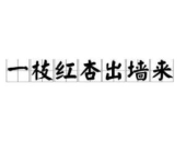 一枝红杏出墙来打一个成语,一枝红杏出墙来成语背后的情感与道德纠葛”